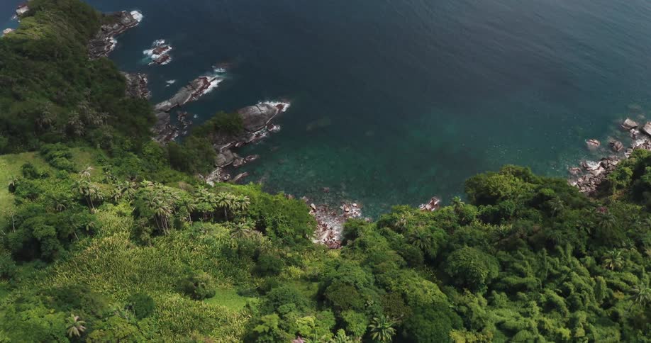 Aerial view of rainforest coastline island