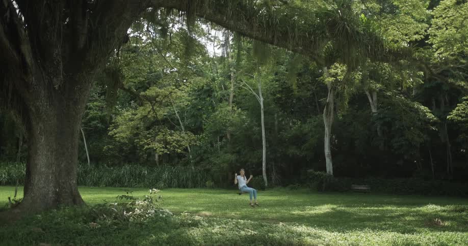 A girls sits and swings on a swing hanging from a large tree branch in a lush green yard