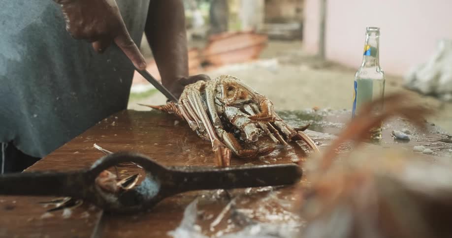 Man uses a knife to carve a lobster on a table in the backyard
