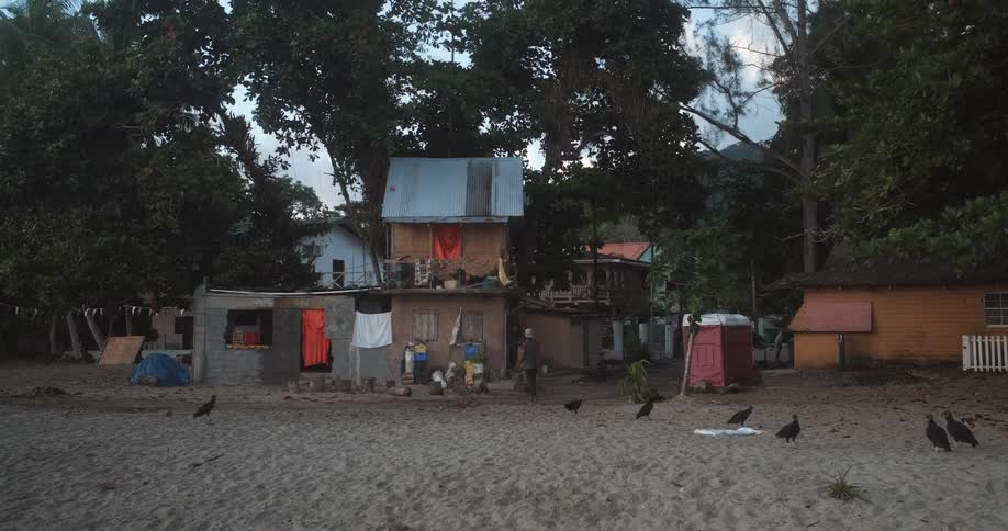 A man walks across the sand past wild birds and towards a shack