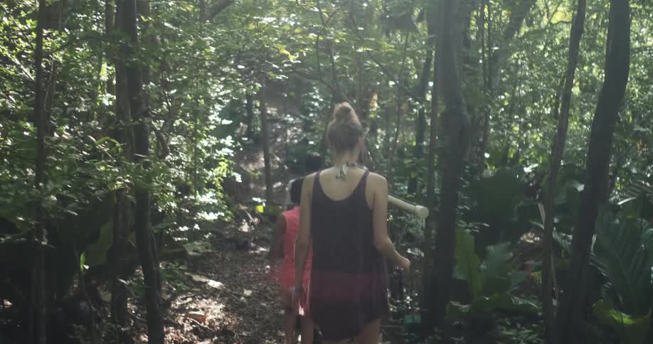 People walking on a trail in the rainforest