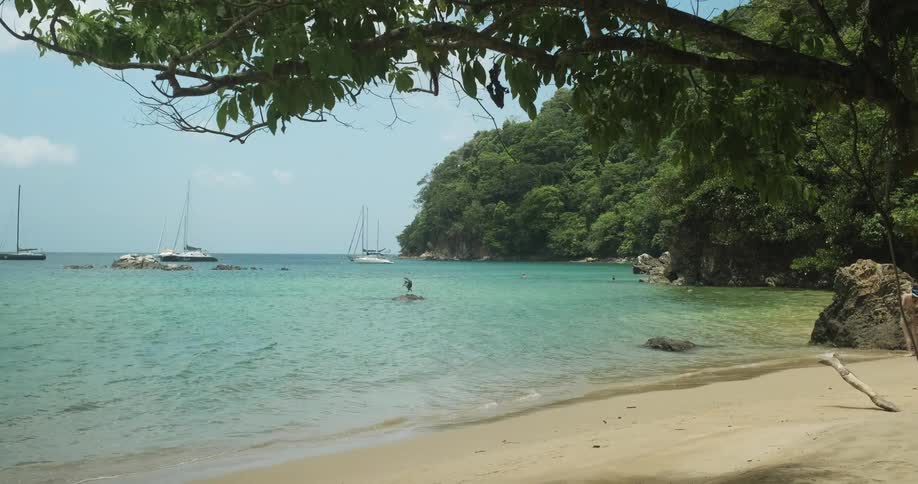The bird flies low over the water on the beach