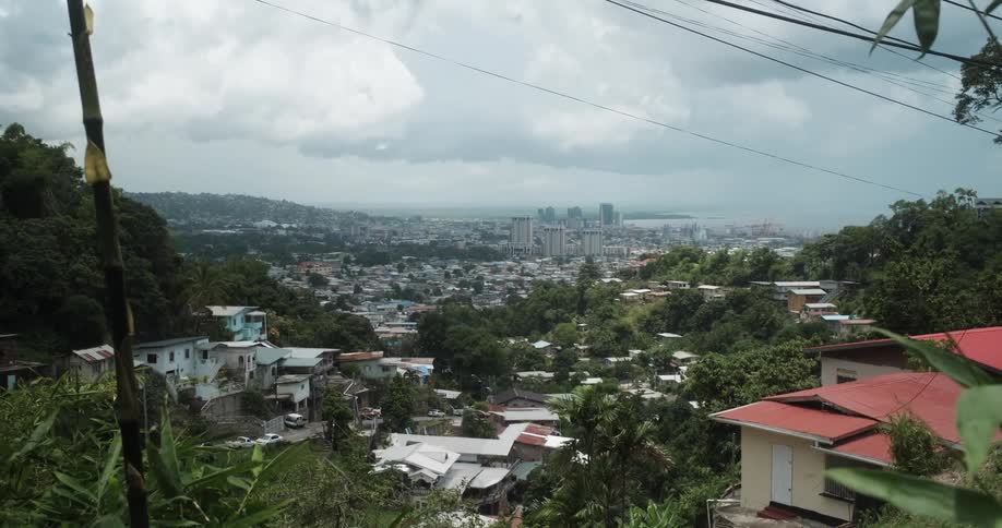 Wind blows the leaves on branches on a hill top overlooking homes and the city skyline below