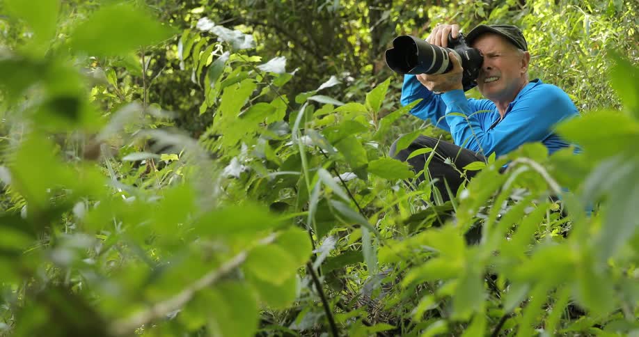 A photographer focuses his camera on something in a jungle