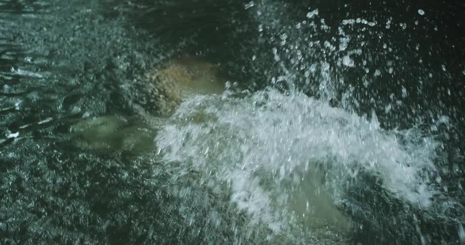 Woman diving into a tropical lake