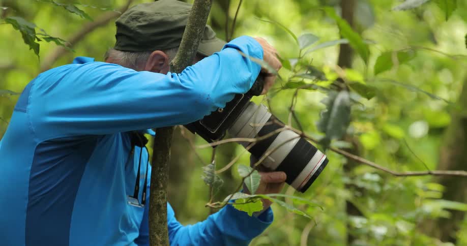A photographer takes pictures in the wild