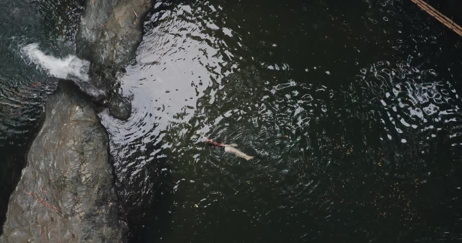 Woman swimming in tropical rainforest water