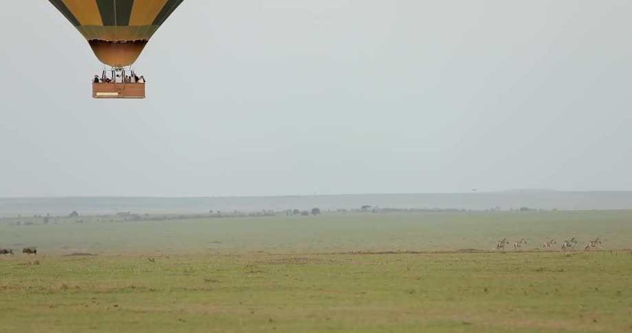 A hot air balloon floats over a field as wild animals run below