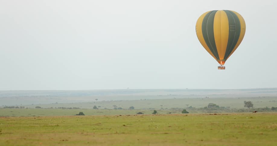 A hot air balloon floats over a field
