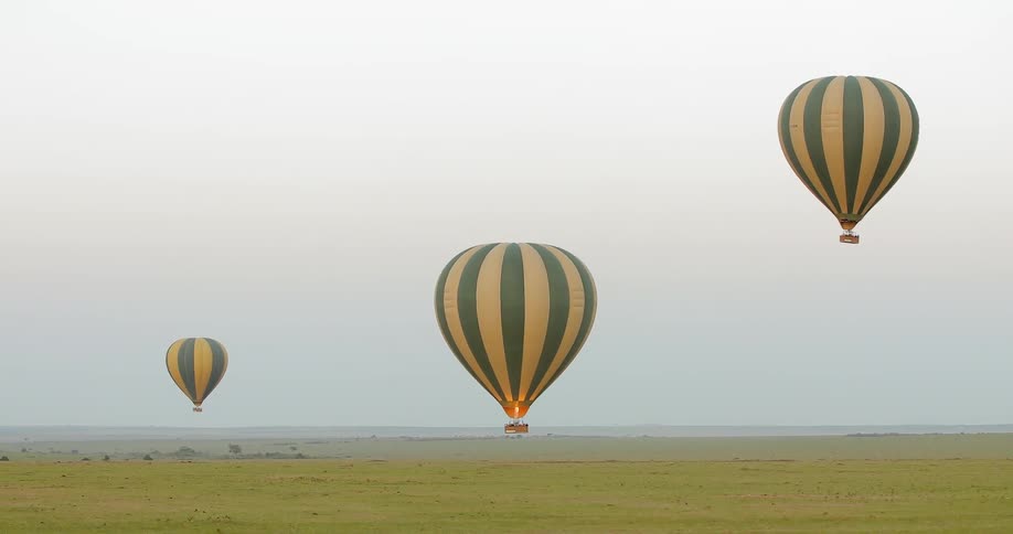 Hot air balloons flying in the air