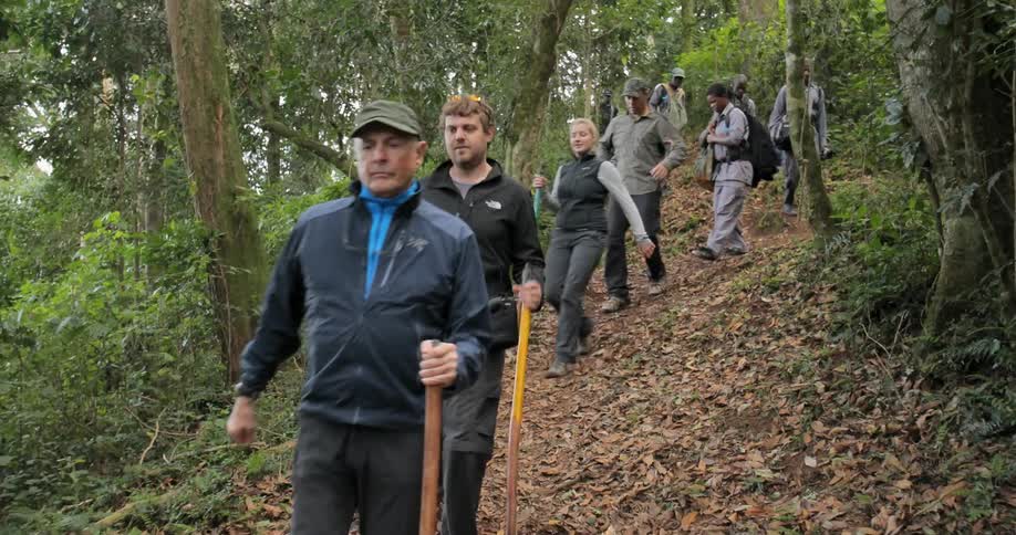 A group of people with walking sticks hike through the woods