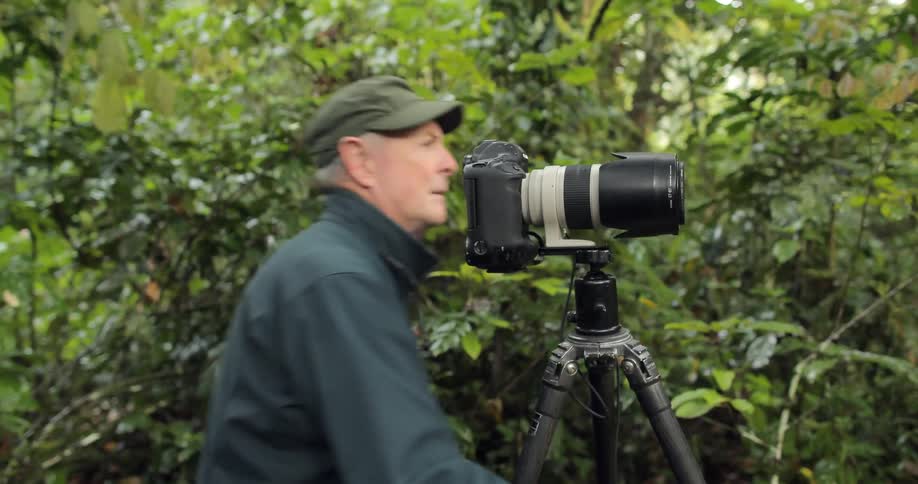 A photographer working in the woods