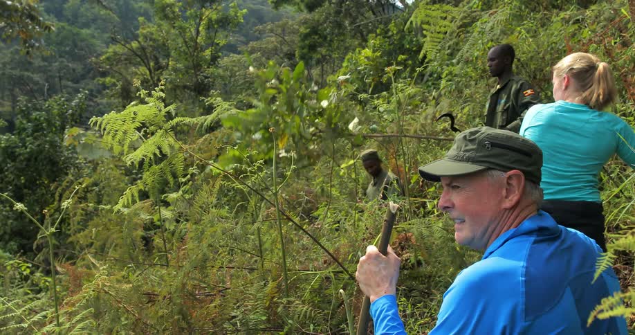 A group of people hack their way through a hilly, thick jungle