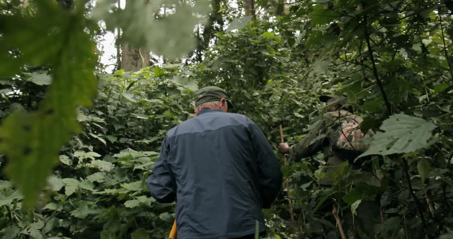 People are hiking uphill through a dense area