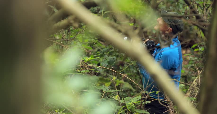 A man with a camera trying to get an a picture in a dense jungle