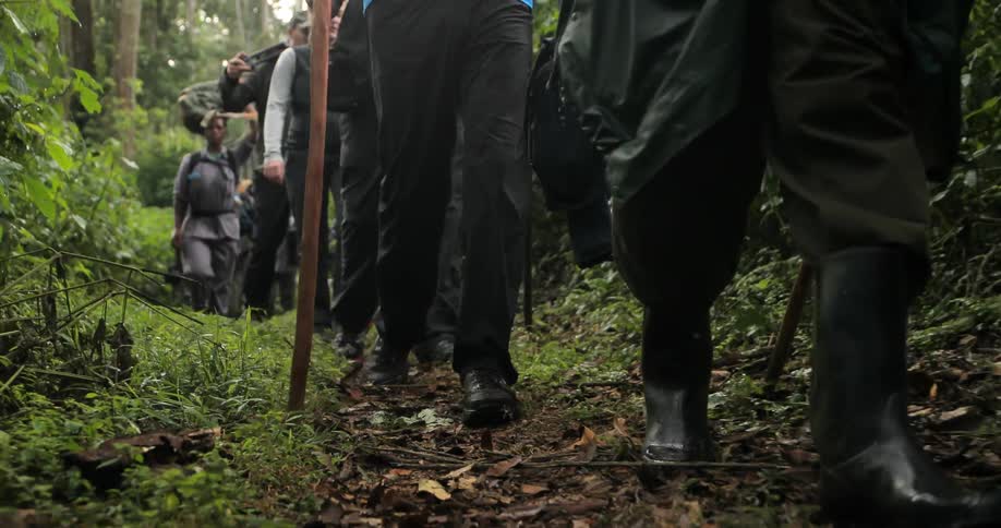 A group of people walk down a trail