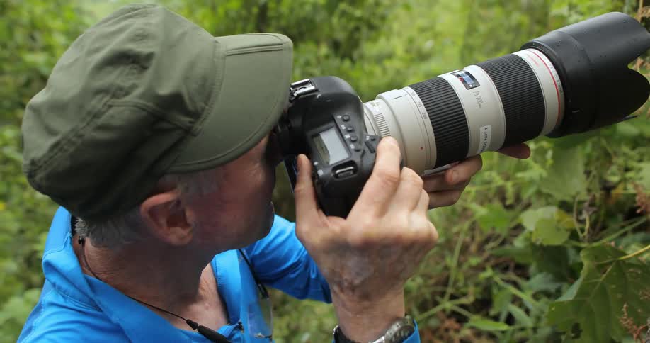 A man in a forest focuses the long lens of a camera