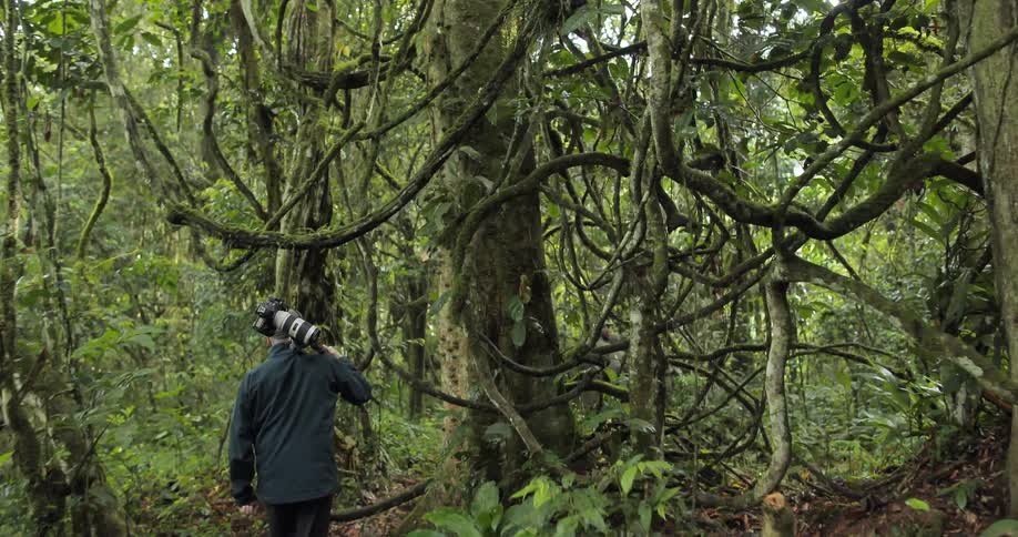A photographer following other men through a forest
