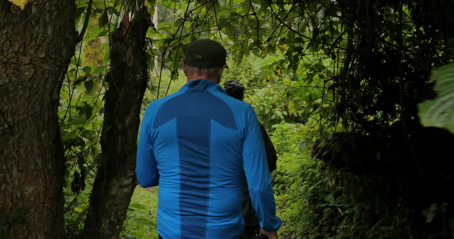 Men hiking in the wilderness with walking sticks