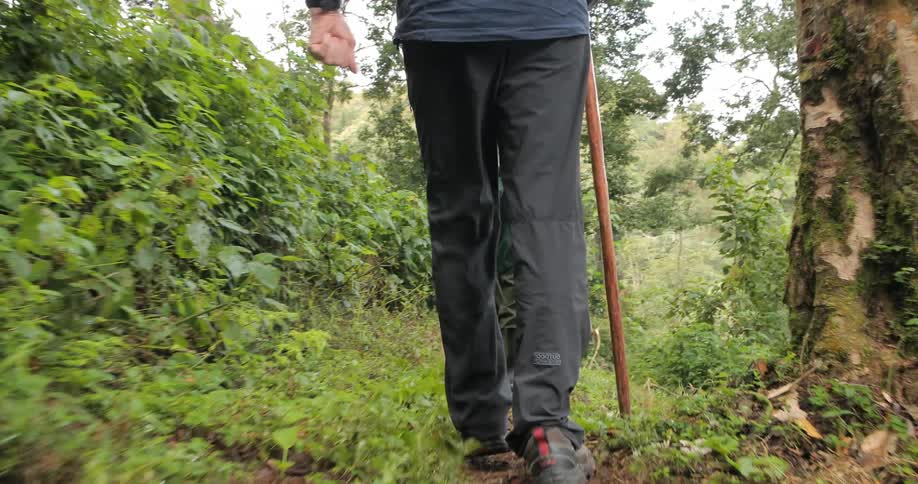 A man following a guide along a dirt path in a jungle