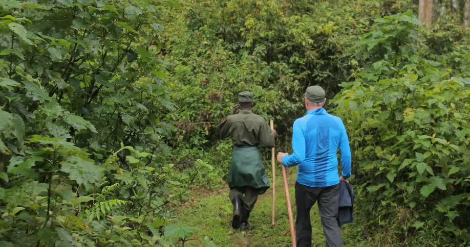 A man following a guide along a path in a jungle