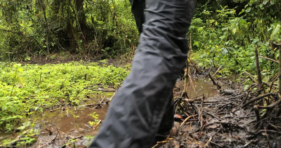 Hikers walk through a wet and muddy area