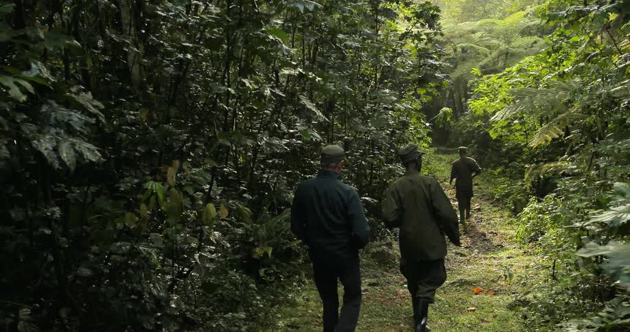 A man follows a guide and a man with a rifle as they walk through a jungle
