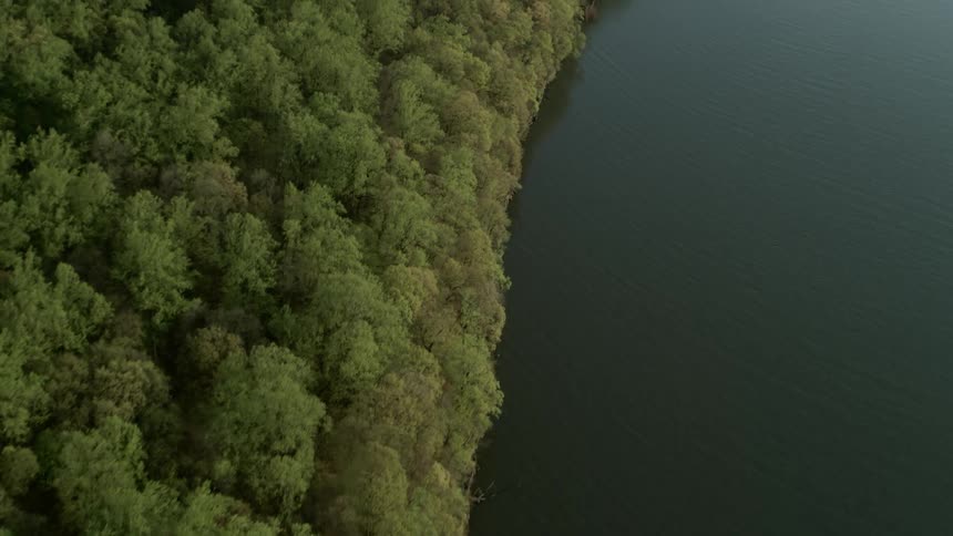 The smooth water surface reflects the forest trees along the coats