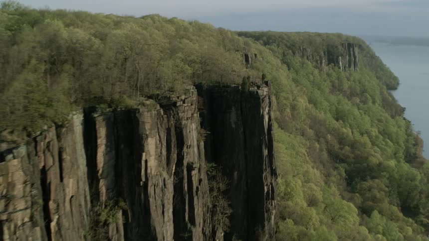 An aerial view of trees covering a mountain is displayed