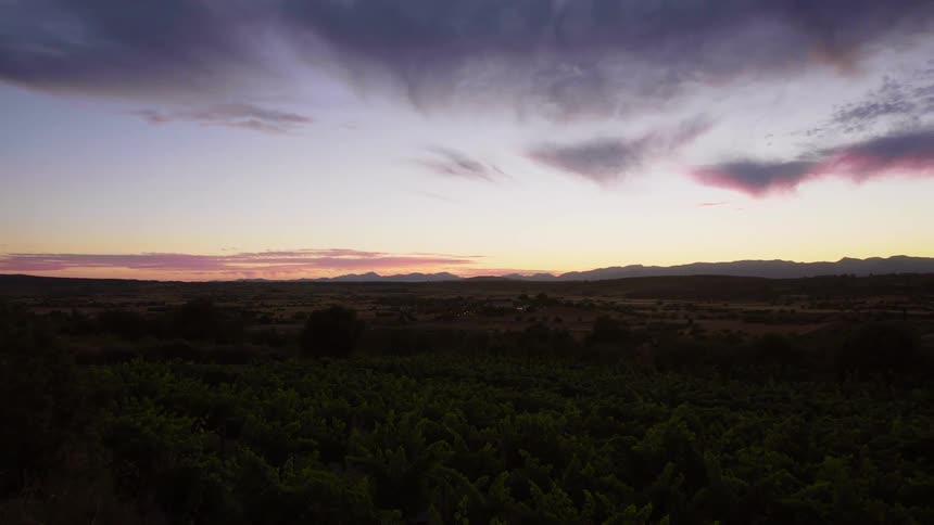 Landscape view of a field at dusk