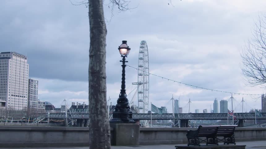 The large ferris wheel is across the water