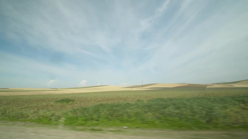 A grassy field with the sky in the background