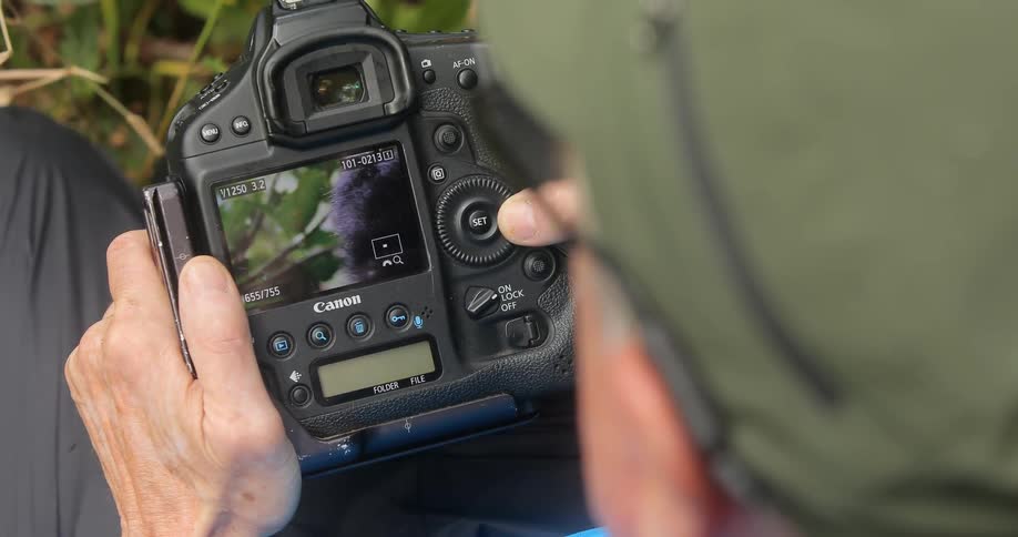 A man sits and looks through photos on a camera