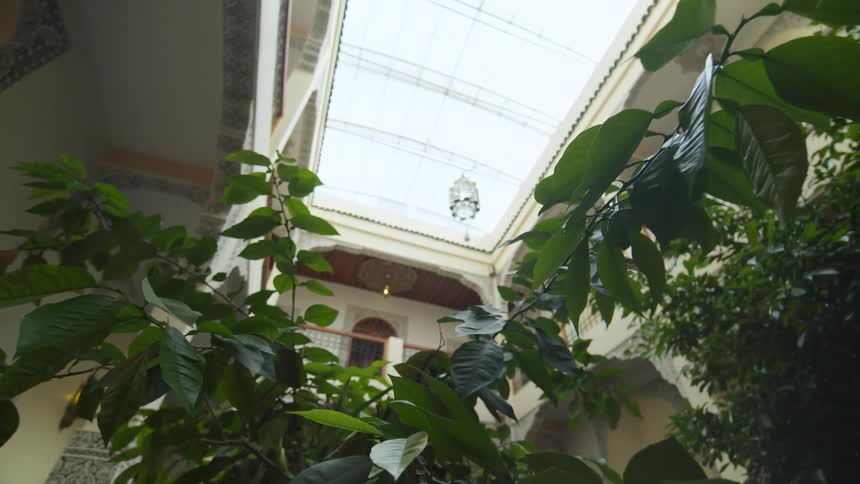 Plants grow in the atrium of a building
