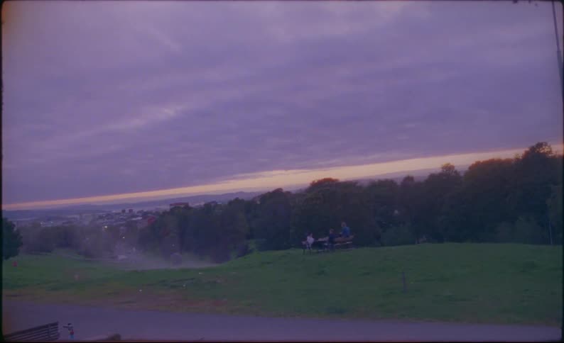 People sitting at a picnic table with trees and the sky in the background