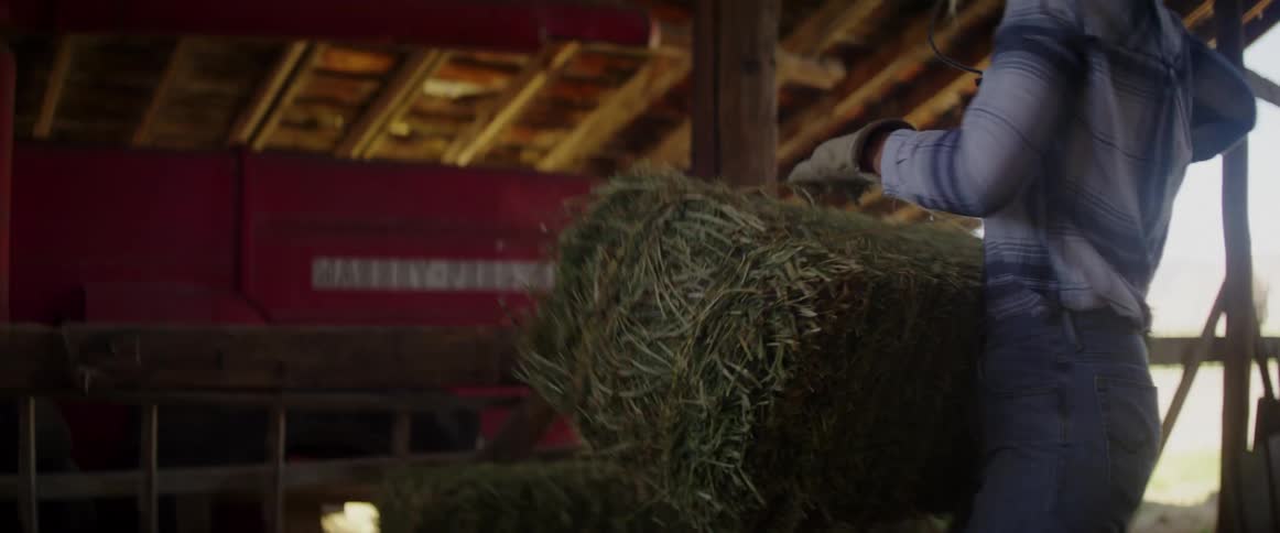 Female struggles as she lifts a heavy bale of hay wrapped with twine and moves it from one location in the barn to another location close by