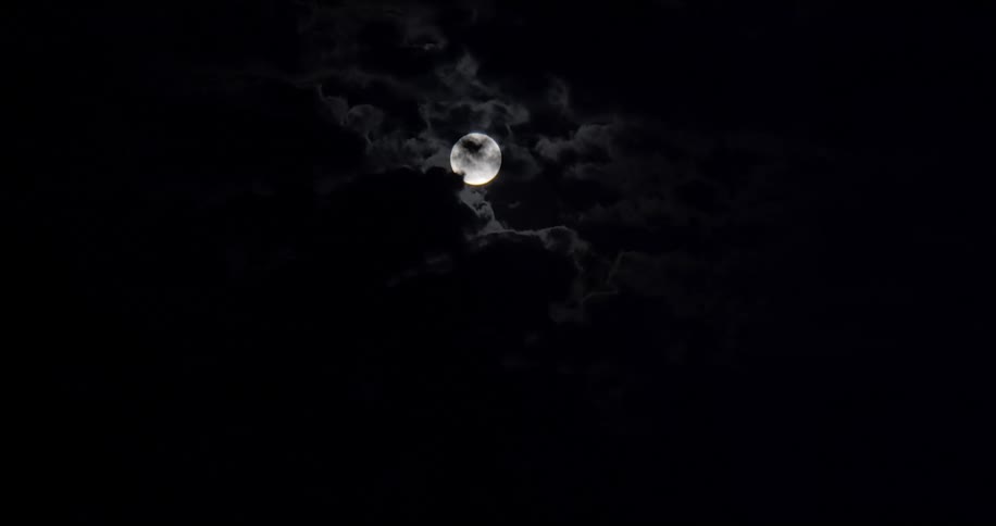 A view of the moon in outer space is displayed