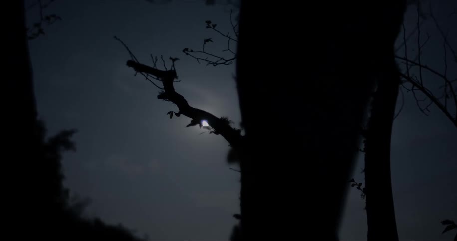The moon is high in the cloudy sky