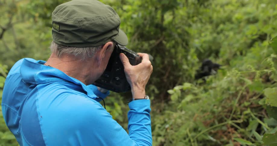 A man photographs a gorilla in the brush