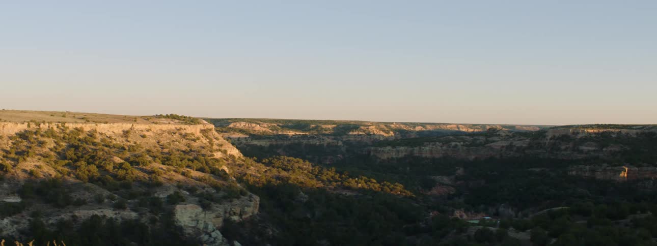 The trees sit on the cliff