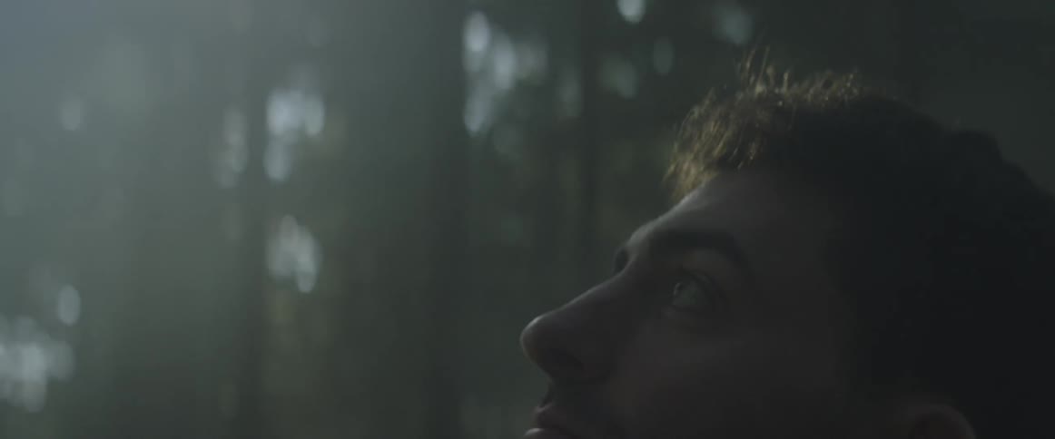 Man standing and looking upward in the woods