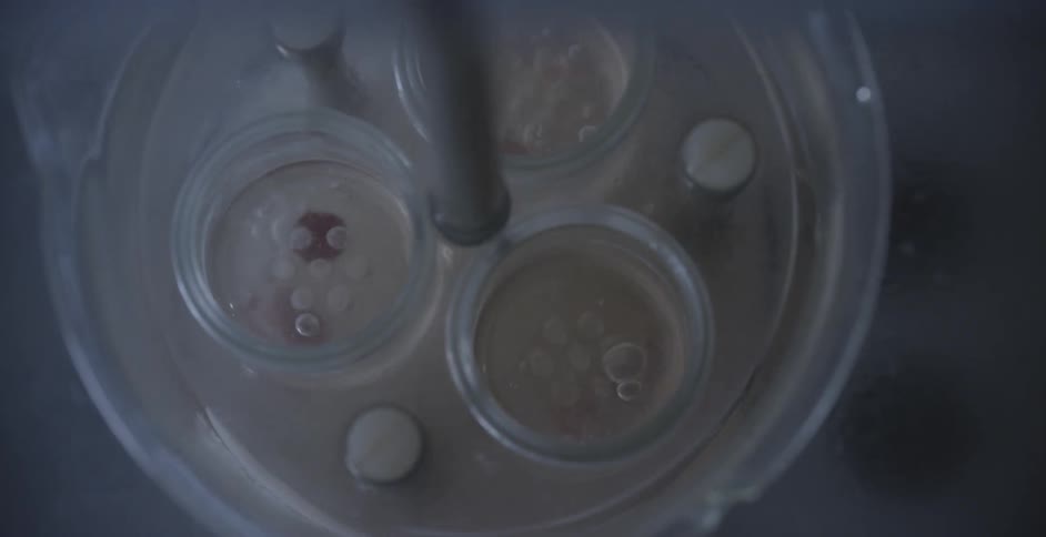 A plunger with baskets is lowered into a clear liquid solution and lifted to clean the items in the baskets