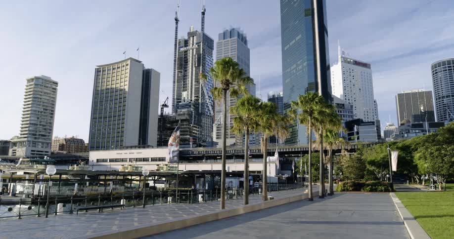 A city near the coast with trees buildings and skyscrapers