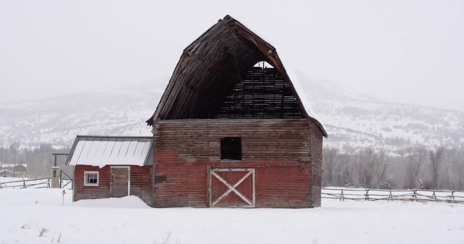 Snow falls around an old and decrepit barn