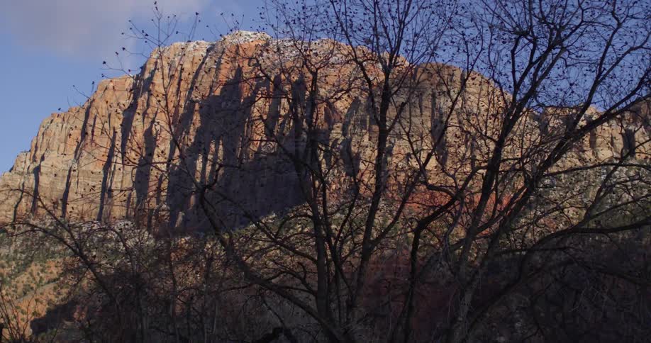 A large canyon with a blue sky in the background