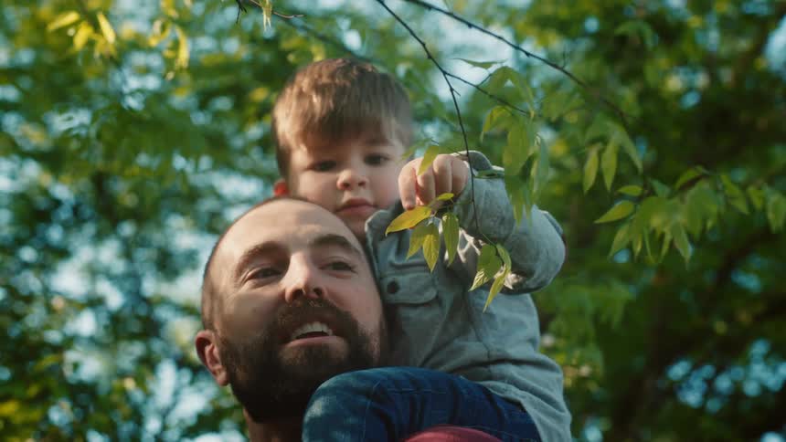 A toddler sits on his fathers shoulder and examines the leaves on a tree branch
