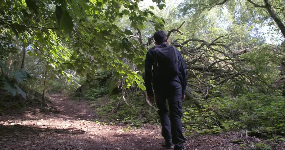 Man walks along the track in the forest