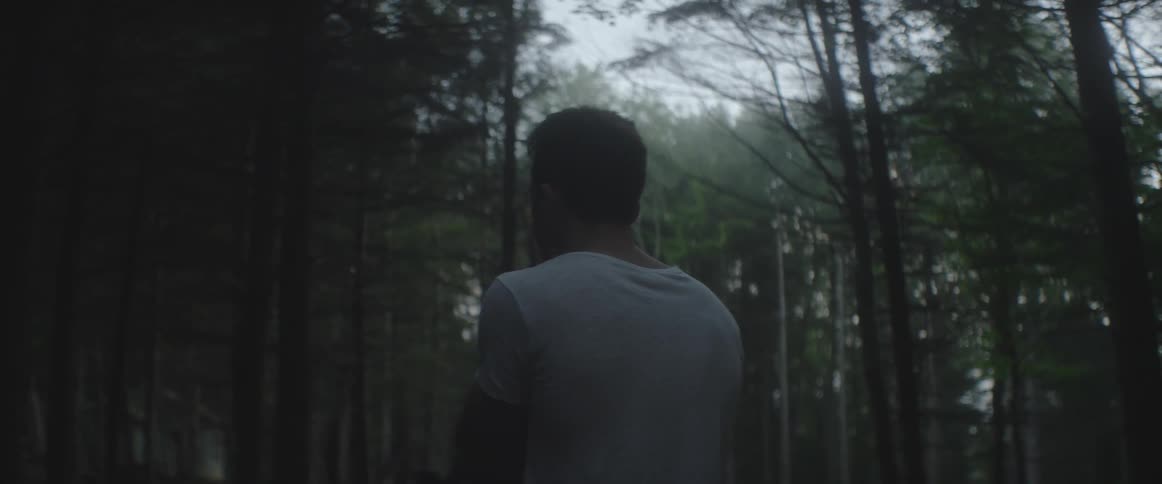 A man looks up in a cloudy forest