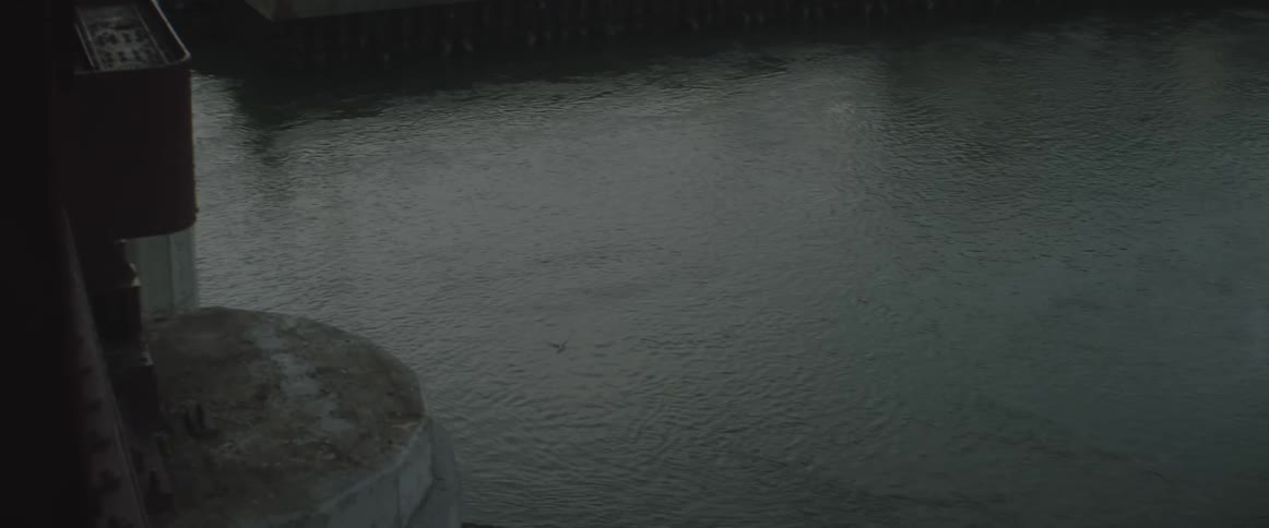 Birds fly around a body of water