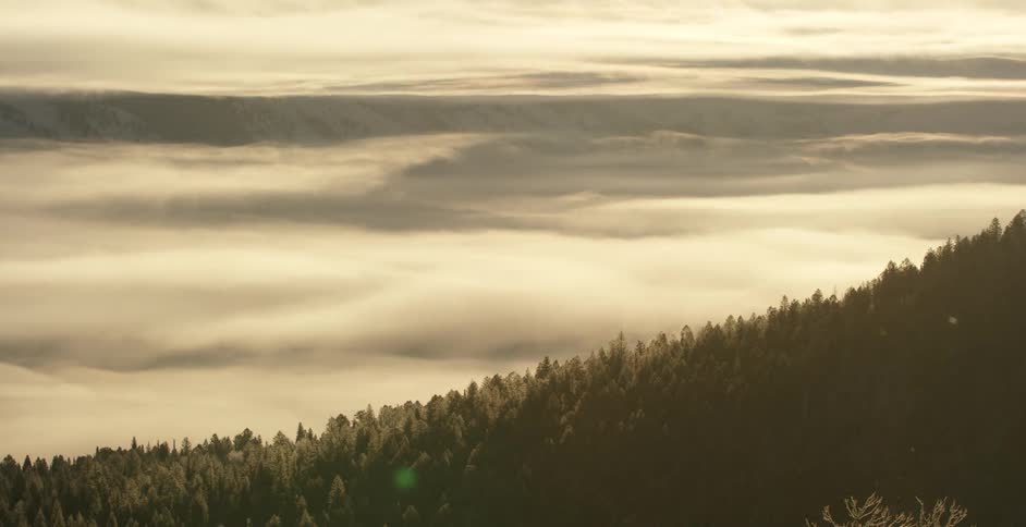 Time lapse of fog moving over winter forest sunrise